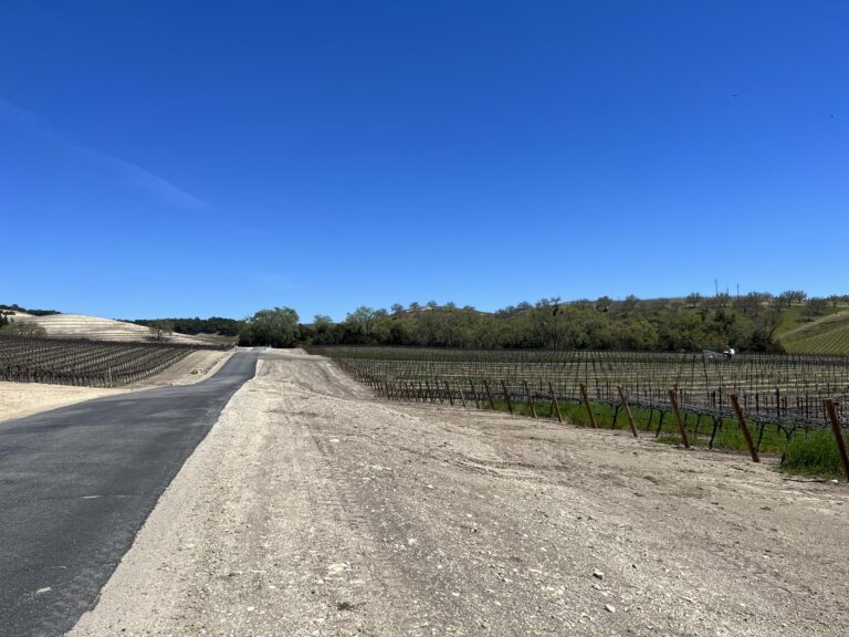 entrance road to tasting room 2