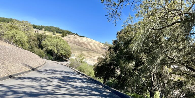 entrance road to tasting room