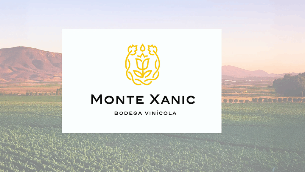 Monte Xanic Winery: The Best Wine Tasting Experience in Valle de Guadalupe