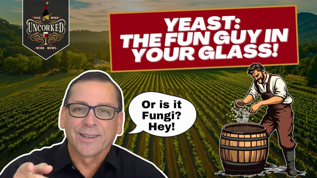 Episode 7 – The Yeast We Can Do For Wine