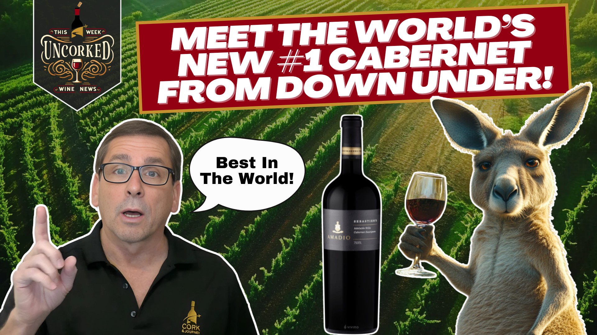 This Week Uncorked Episode 16 featuring a kangaroo drinking a glass of cabernet sauvignon and the amadio wine bottle next to him