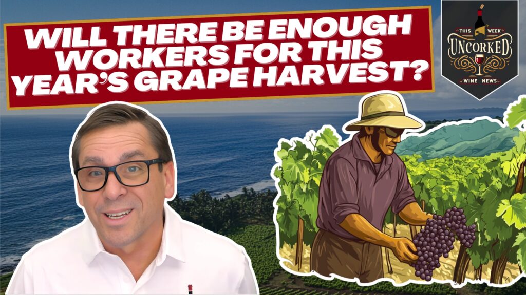 February 10, 2025 – California Wineries Sound the Alarm on Immigration Policy