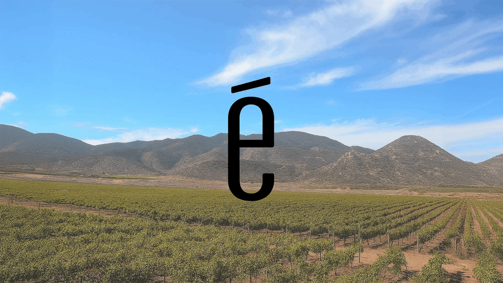 Emevé Wines: Where Tradition Meets Innovation in Valle de Guadalupe
