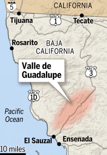 Valle de Guadalupe