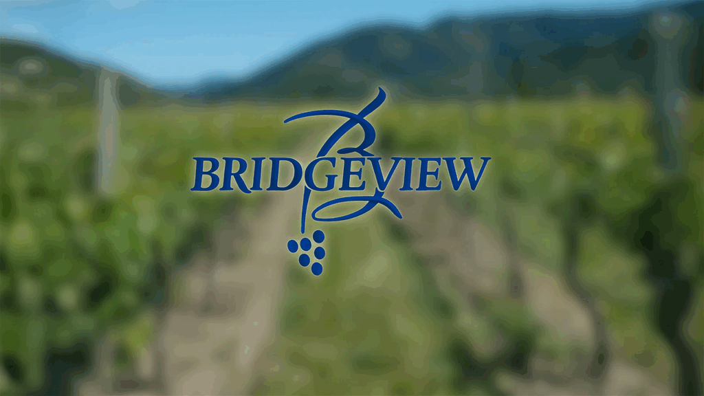 Bridgeview Vineyard & Winery: A Relaxed Escape in Southern Oregon