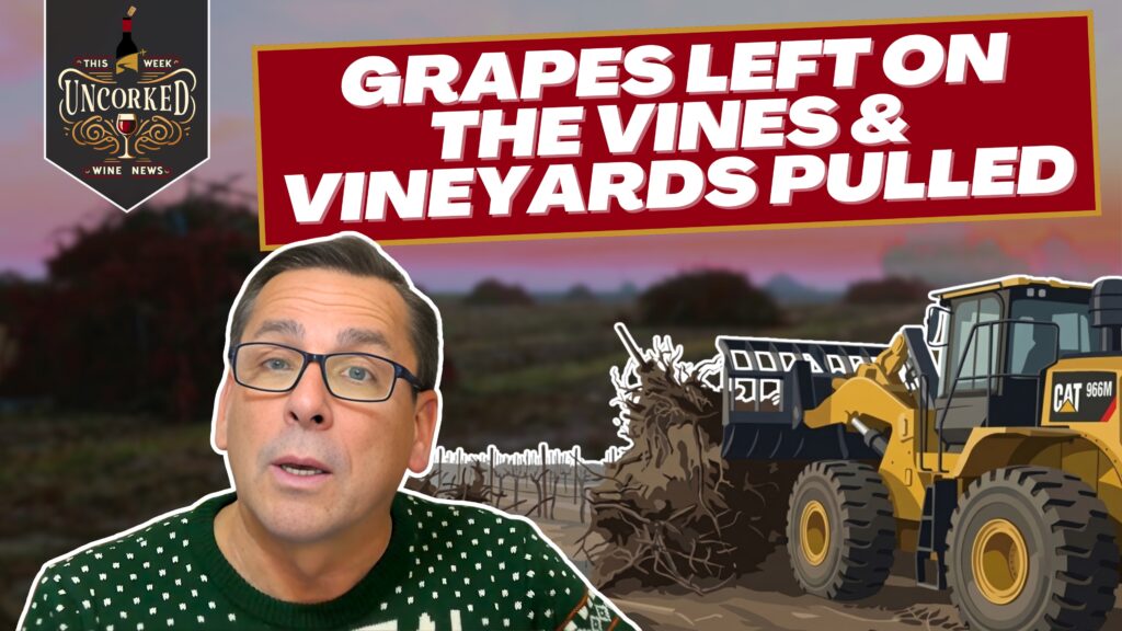 December 22, 2025 – 2025 Becomes the Year of Abandoned Grapes in Napa Valley