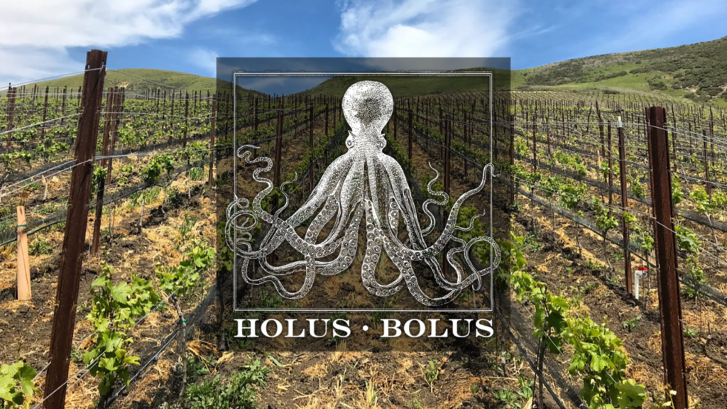 Holus Bolus: Small-Lot Mastery in Los Olivos