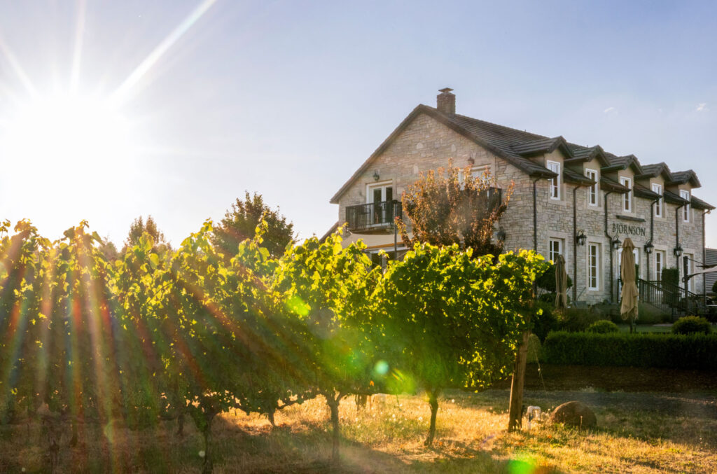 Björnson Vineyard