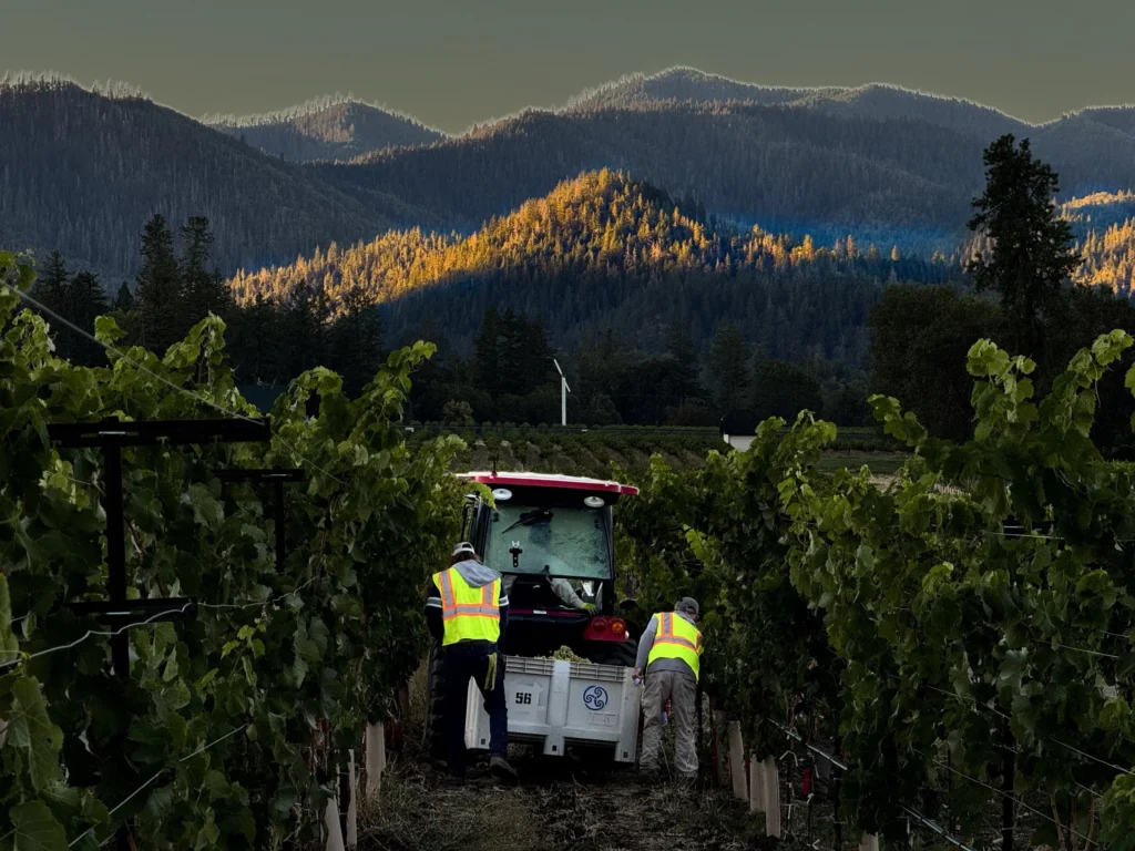 Troon Vineyard